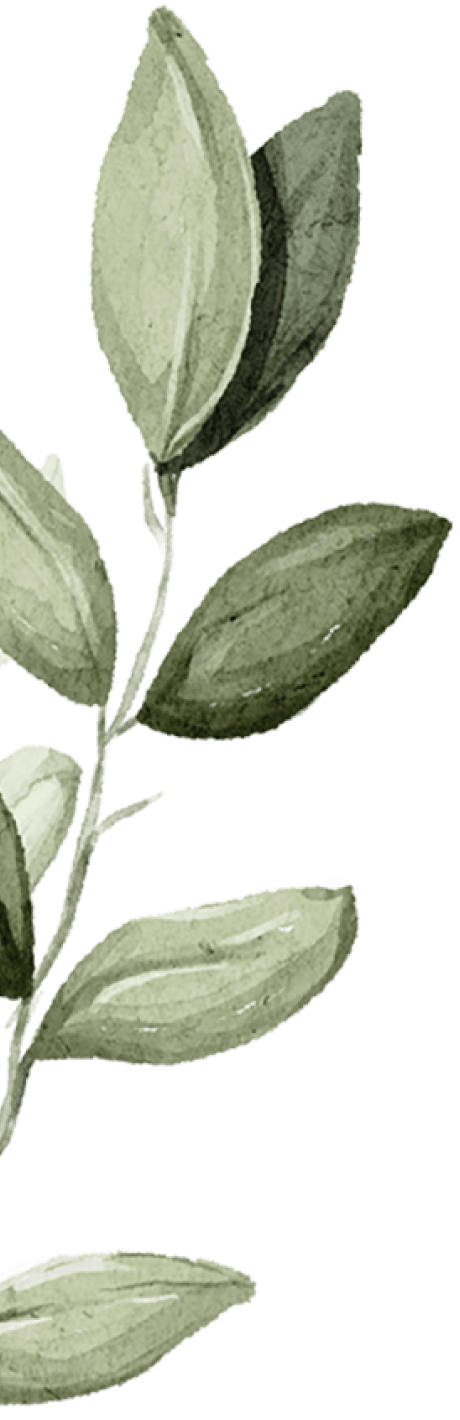 branch-1-1-1 Plantes
